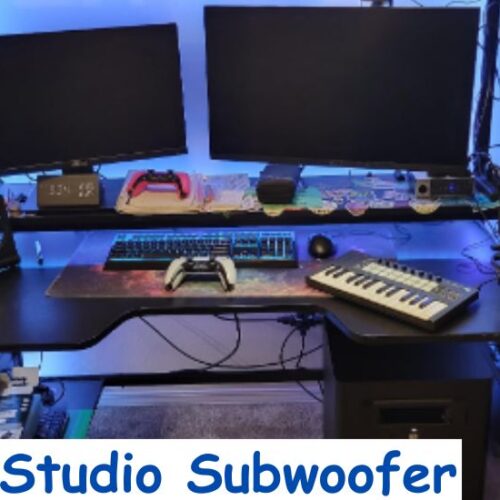 Studio Subwoofer